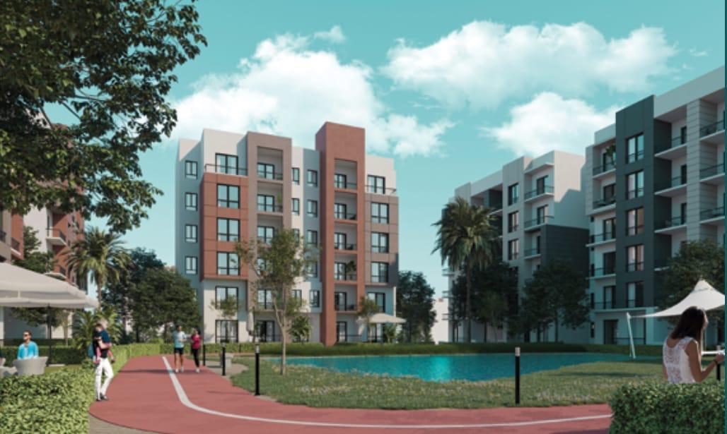 اشجار سيتي 6 اكتوبر